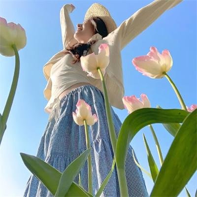 画春功之书中自有颜如玉