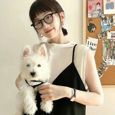 加菲猫国语